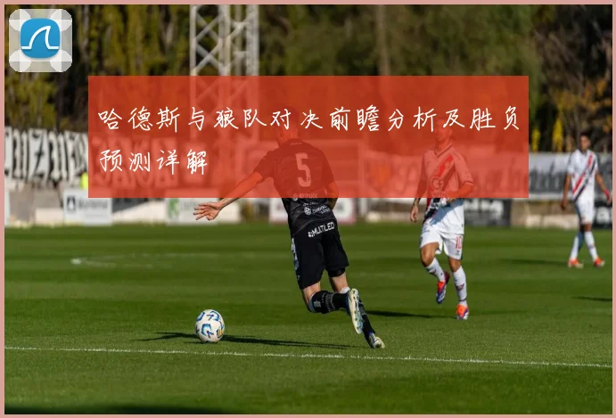 哈德斯与狼队对决前瞻分析及胜负预测详解