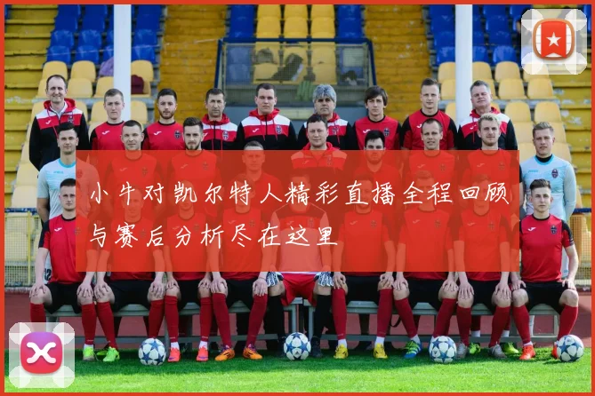 小牛对凯尔特人精彩直播全程回顾与赛后分析尽在这里