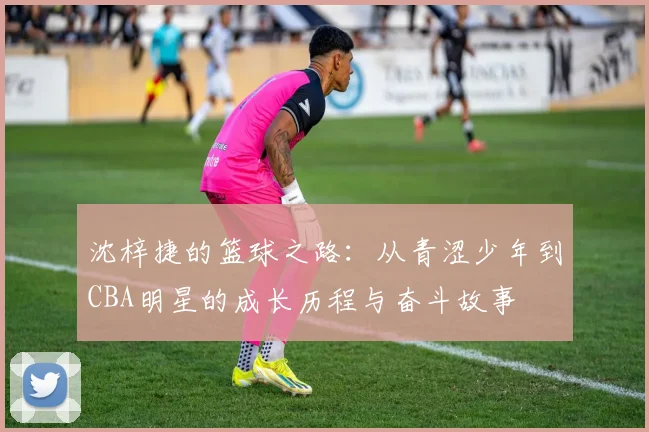 沈梓捷的篮球之路：从青涩少年到CBA明星的成长历程与奋斗故事