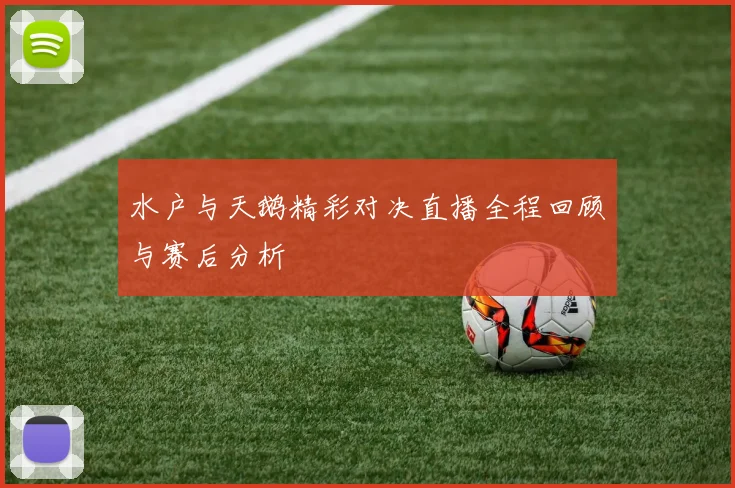 水户与天鹅精彩对决直播全程回顾与赛后分析